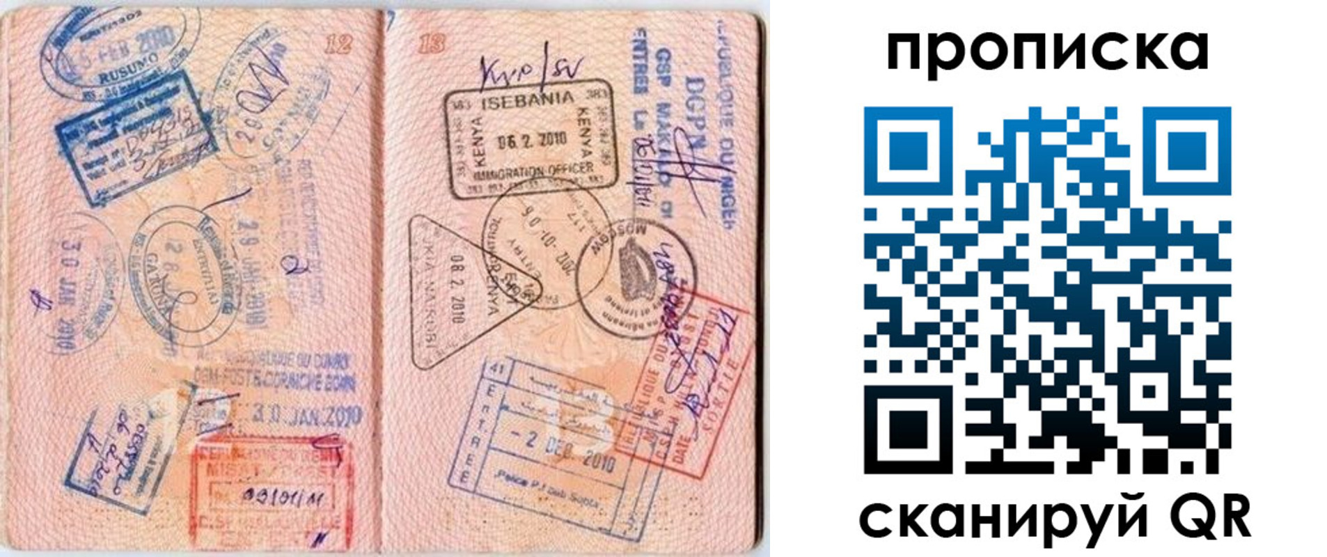 прописка для школы в Похвистнево